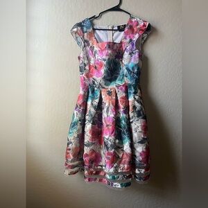 Sachin and Babi Anthropology Faria Floral Square Neck Organza Dress Size 4